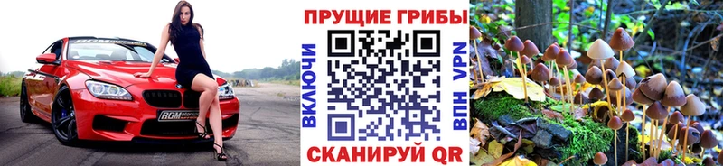 Галлюциногенные грибы GOLDEN TEACHER  Купить закладки  Туринск 